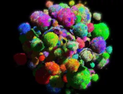 Разкриха тайната на неуправляемото делене на раковите клетки