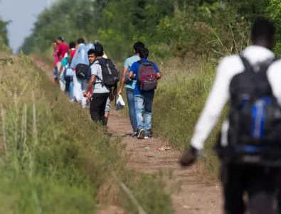 Отвориха основния граничен пункт между Сърбия и Унгария