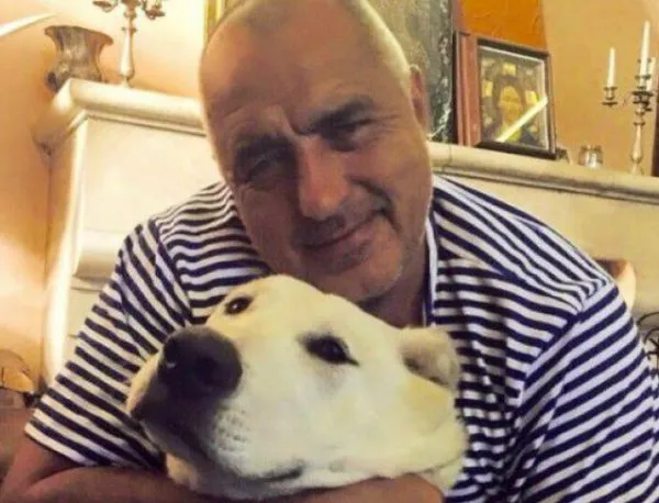 Бойко Борисов показа кучето си във Facebook