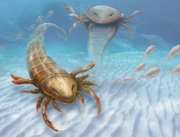 Гигантски скорпион тероризирал древните морета