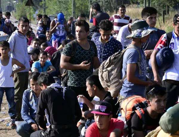 Стотици американци искат да приютят сирийски бежанци