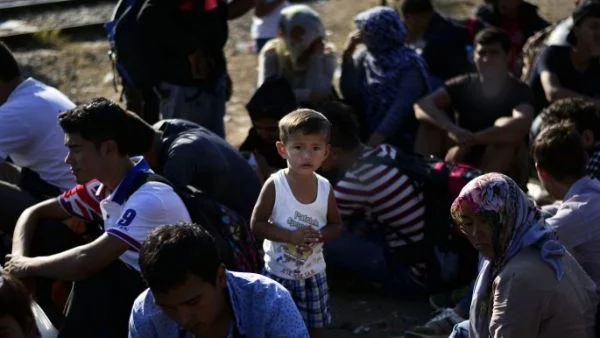 ООН: Унгария вече не регистрира бежанците, направо ги кара към Австрия