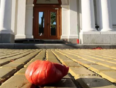 Залп от домати пред парламента, Симеонов се спаси*