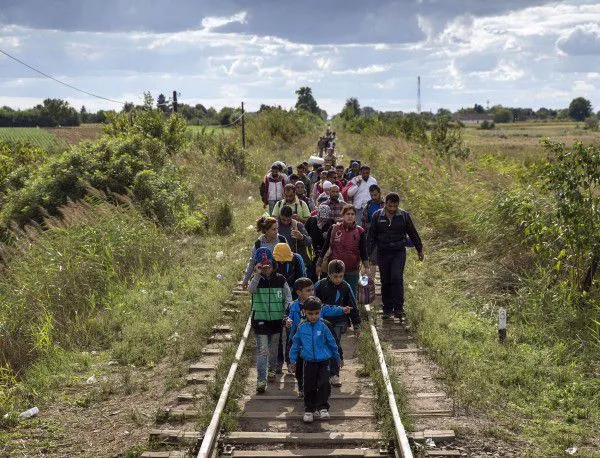 Сърбия: От България всеки ден влизат стотици мигранти