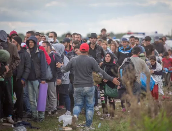 Мигрантската вълна към Европа е намаляла през ноември