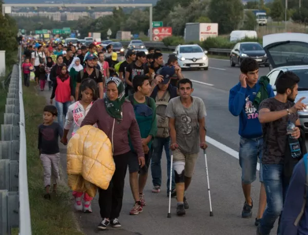 Масово залавяме мигранти чак на границата със Сърбия
