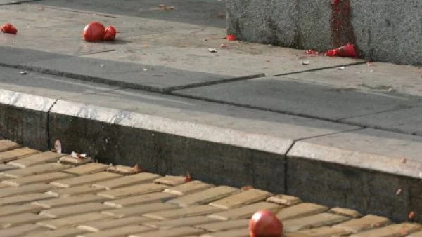 До НС: Босия дебне с доматите, Дудев с яйца