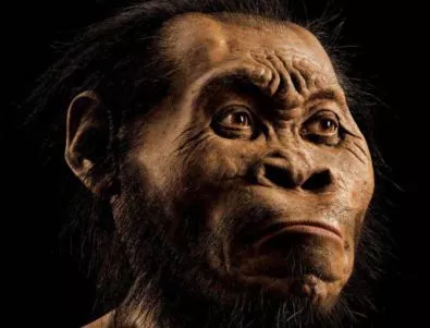 Откриха вкаменелости на неизвестен досега човешки вид