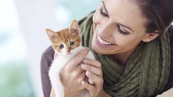 Как и какво лекуват котките