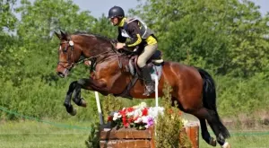 Спортът по телевизията днес (23.10, събота)