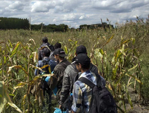 За 6 месеца "Гранична полиция" е задържала близо 19 000 мигранти