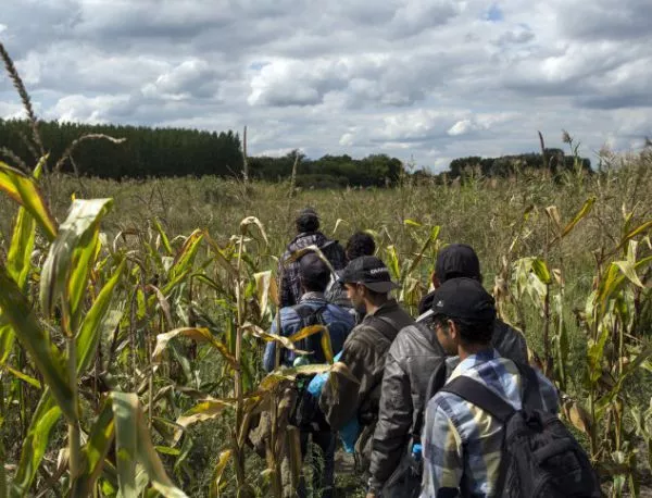 Чехия: Балканите са неинтегрирани, трябва да помогнем на България и Македония с бежанците