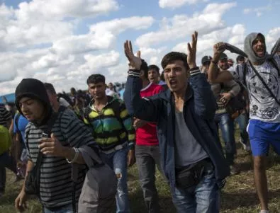 Холандия приема 7000 бежанци през следващите 2 години