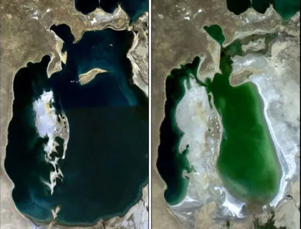 Пресъхналото Аралско море ще става гора