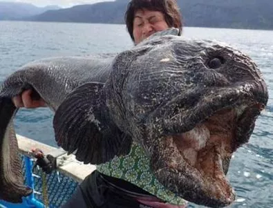Японец улови риба чудовище