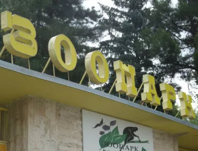 Прокуратурата откри редица нарушения в строежа на зоопарка в Пловдив