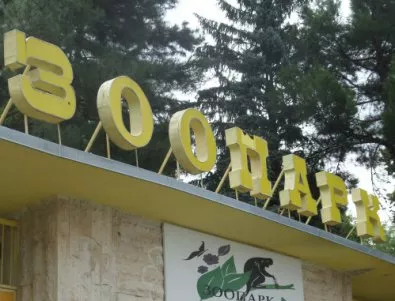 Разпитват свидетели по дело за обществена поръчка за зоопарка в Пловдив