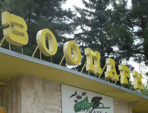 Разпитват свидетели по дело за обществена поръчка за зоопарка в Пловдив