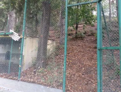 ВКП: Новият зоопарк в Пловдив незаконен