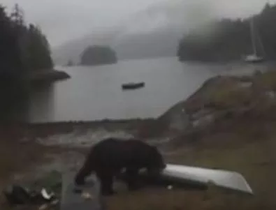 Туристка призова мечка да си легне зимен сън (ВИДЕО)