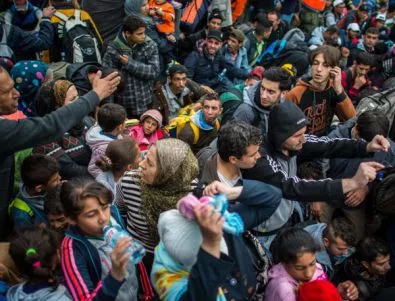 Над 60 бежанци са заловени във Враца