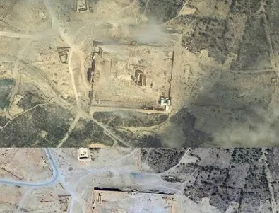 Масов гроб е открит в Палмира