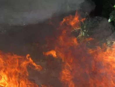 Пожарът край Габрово вече е обхванал над 300 дка гора