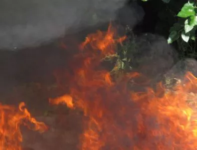 Два големи горски пожара в Тетевенско