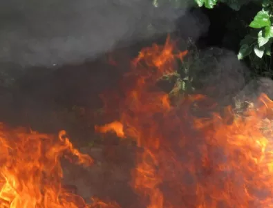 В Сливенска област обявиха пожароопасния сезон