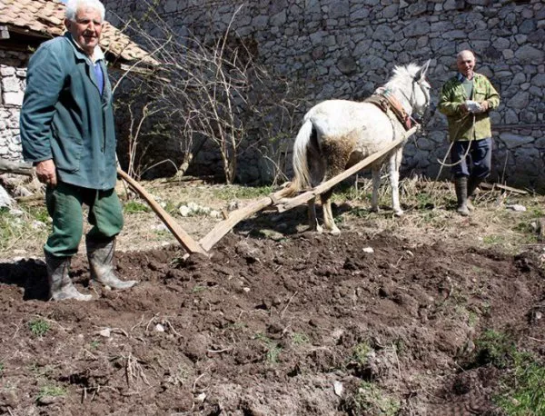 Нов дом за 60 немощни магарета откриха край Гоце Делчев