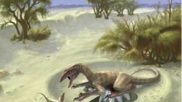 Нови открития за динозаврите 
