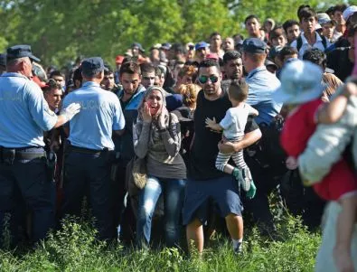 Словения обмисля да вдигне ограда по границата с Хърватия