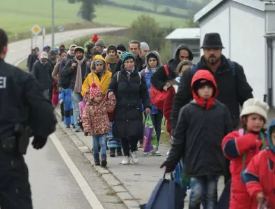 13 005 са мигрантите, влезли в България, от началото на годината 