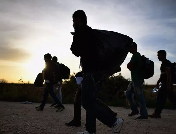 Словения е приела на своя територия над 56 хил. бежанци за седмица