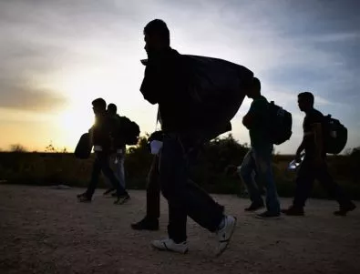 31 нелегални мигранти заловиха на магистрала 