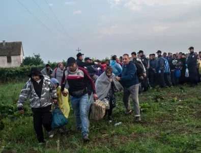 България може да поиска помощ от НАТО, ако мигрантският поток тръгне към нас