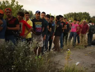 Мигранти предизвикаха безредици на словенско-австрийската граница