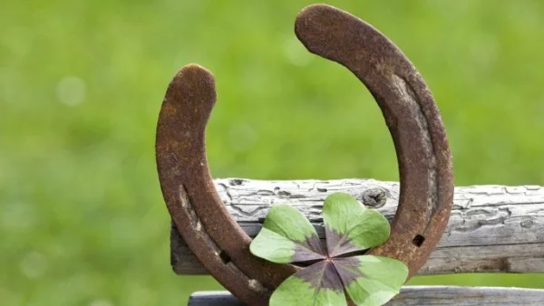 Намислете си число от 1 до 15 и вижте вашият късмет за деня