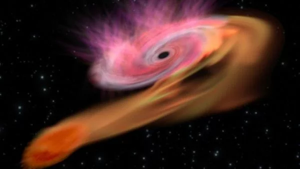 Черна дупка разкъсва звезда на части (ВИДЕО)