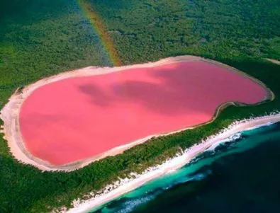 Розовото езеро, което втрещи учените по света