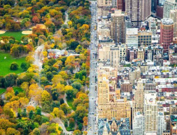Невероятният контраст между два свята: Градът срещу Сентръл Парк в Ню Йорк