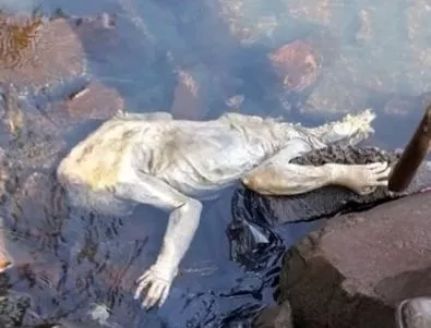 Откриха тяло на неизвестно животно в Парагвай (ВИДЕО)