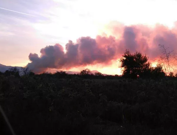 Близо 300 дка посеви са изгорели при пожари от началото на юли в Кюстендилско 