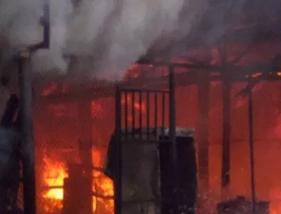 Пожарът в Пловдивско е овладян