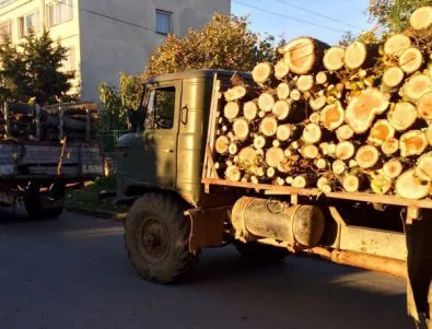 Драстичен ръст на цената на дървата за огрев през настоящия отоплителен сезон