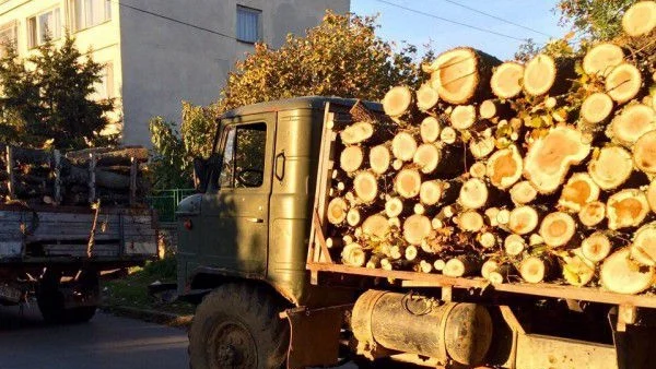 Драстичен ръст на цената на дървата за огрев през настоящия отоплителен сезон