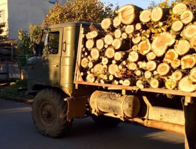 С опълчение в пловдивско село се готвят да пазят гората