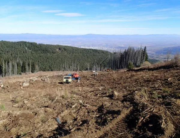 Природозащитници: МОСВ тихо ще разреши промишлена сеч и нови строежи в Пирин и Витоша