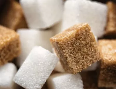 Захар или стрес: кое е по-вредно за мозъка?