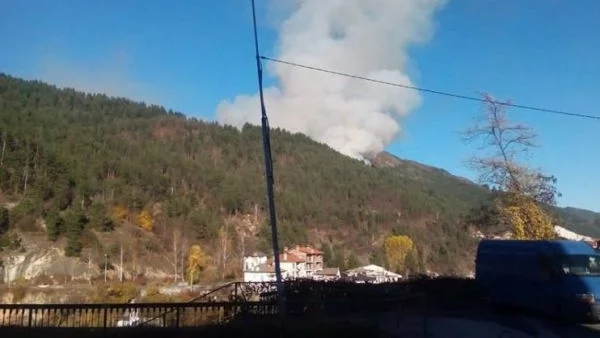 Огромен горски пожар се разраства в Златоградско